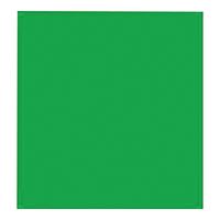 Hometown Holidays 68024 Gift Wrap Tissue, Paper, Green, Pack of 12 
