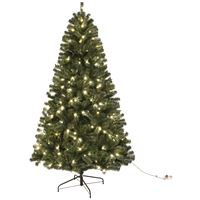 Hometown Holidays 61961 Sheared Tree, 6 ft H, Noble Fir Family, 120 W, LED Bulb, Clear Light 